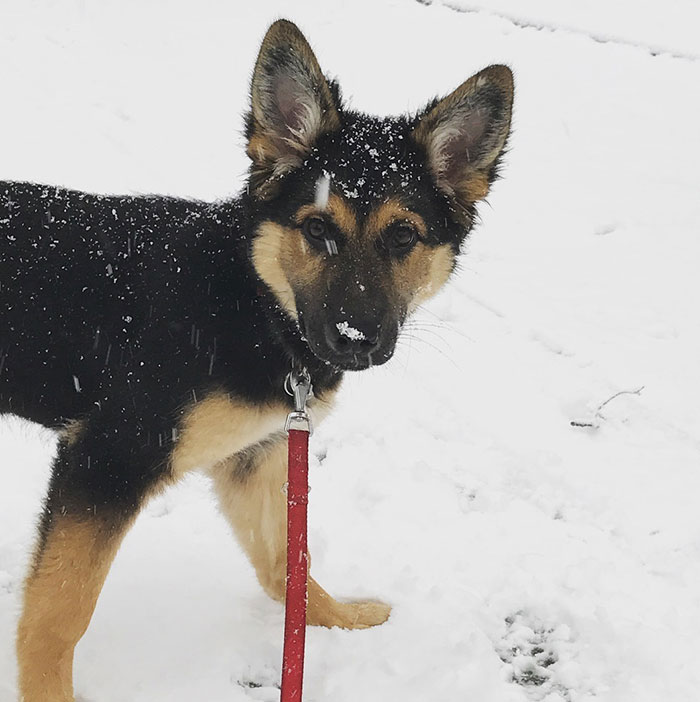 First Time Snow. I Really Really Love It