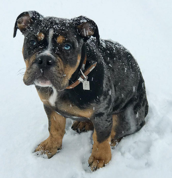 I Know, I Don‘T Look Like This But I Really Love Snow