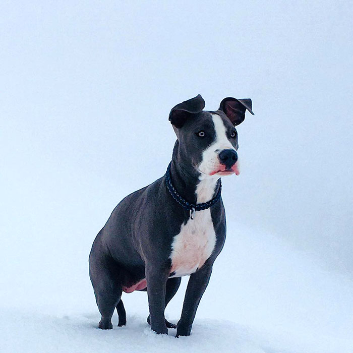 Frightened But So Majestic