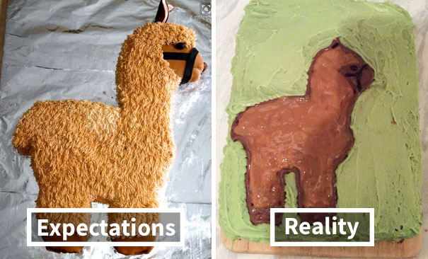 Expectations Vs. Reality