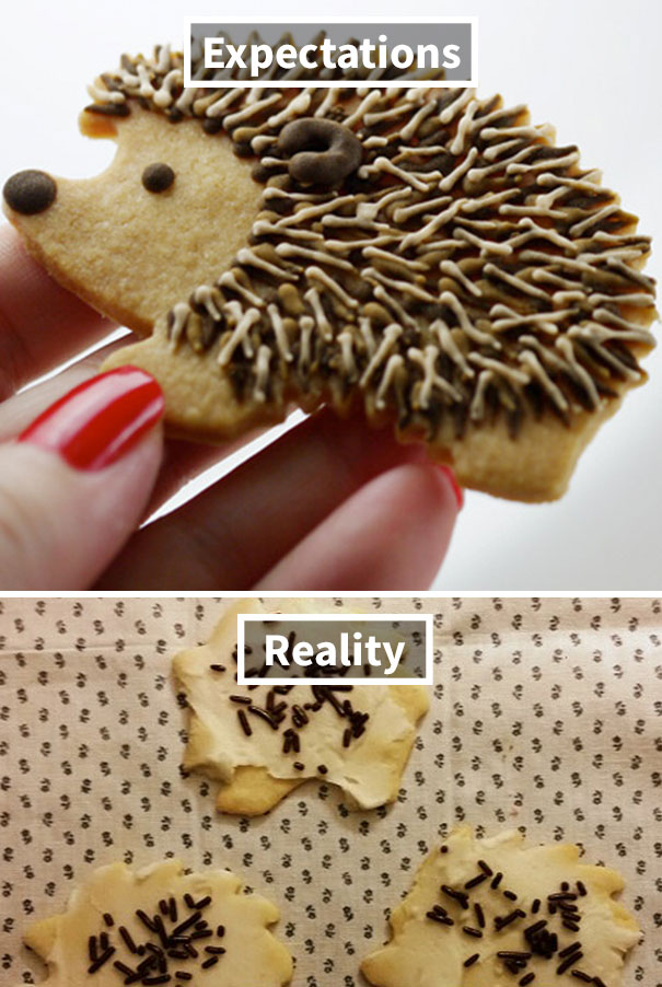 Hedgehog Cookies