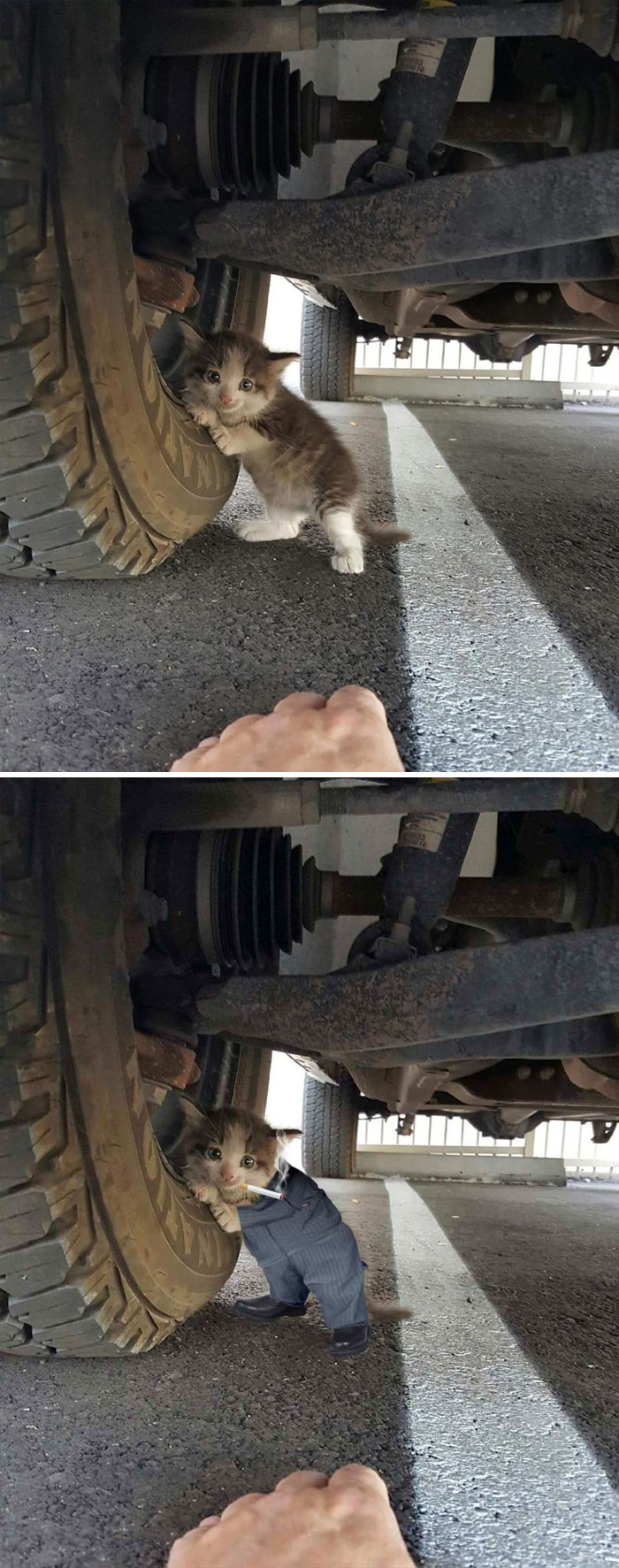 This Kitten Leaning On A Tire