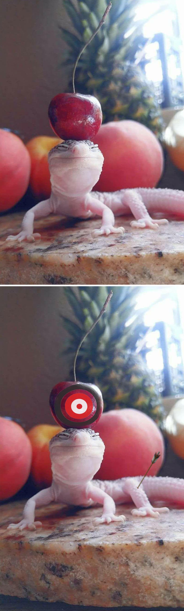 This Gecko With A Cherry On Its Head