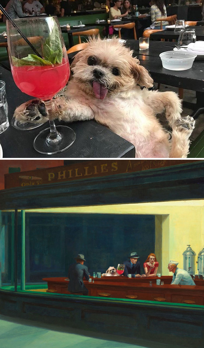 Dog Posing By A Cocktail