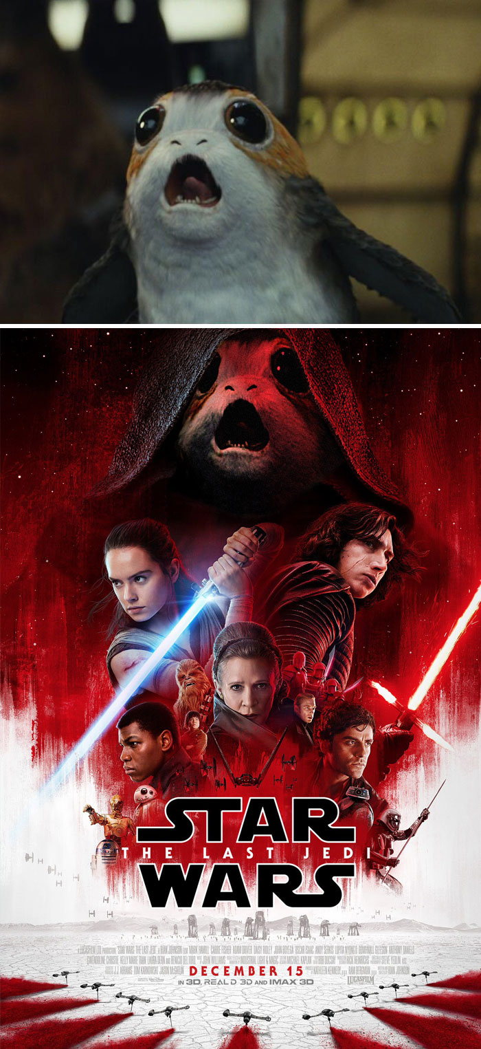 Porg From Star Wars: The Last Jedi