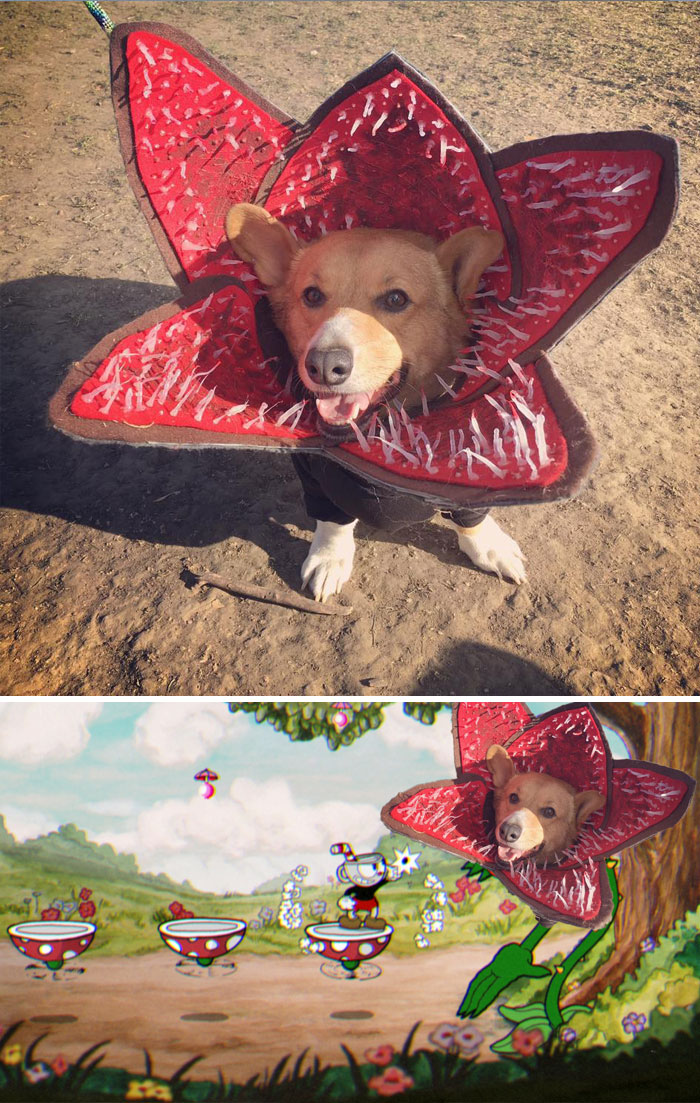 This Demodog From Stranger Things