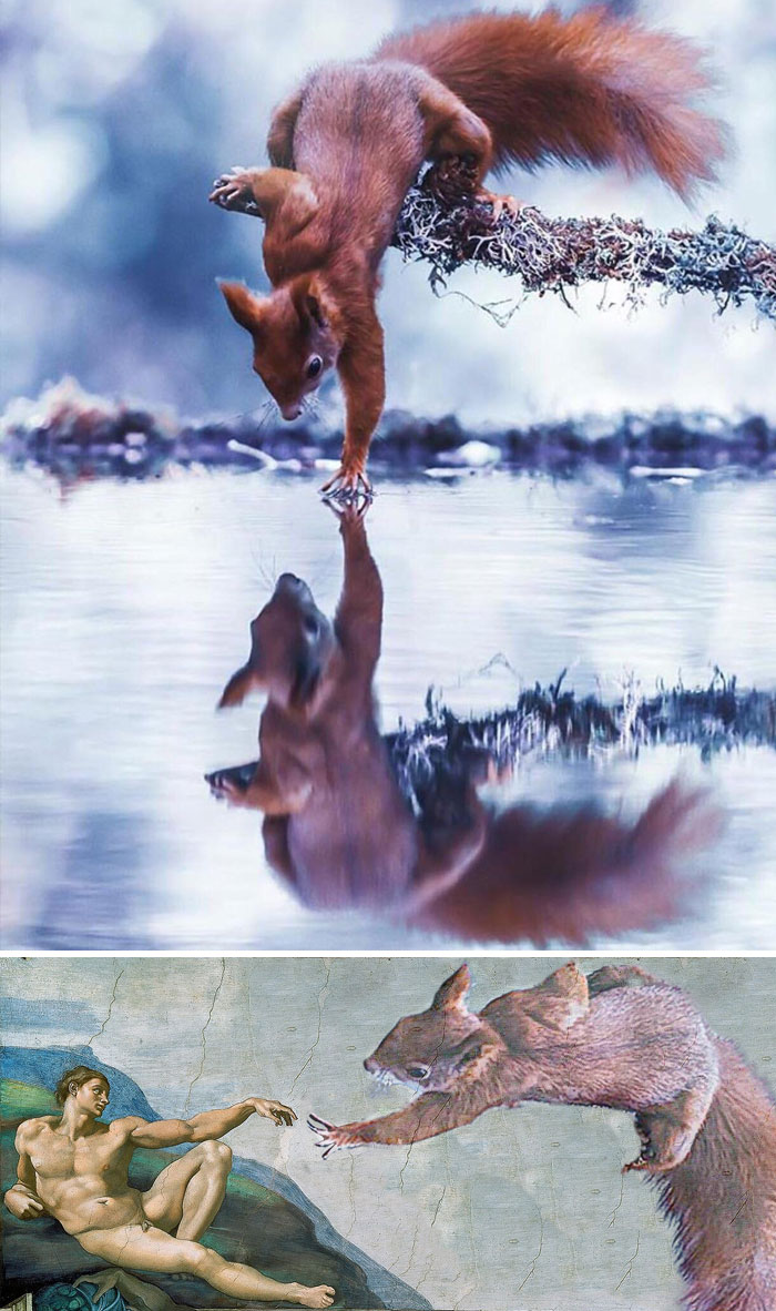 This Squire Touching Water