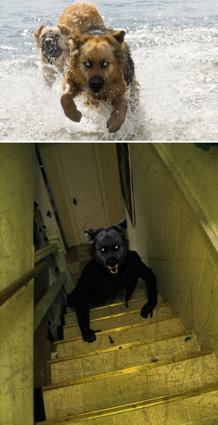 Terrifying Dogs Emerge From The Lake