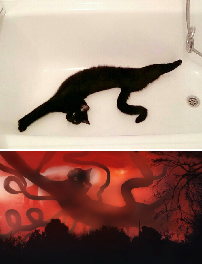 A Cat Stretching In A Bathtub