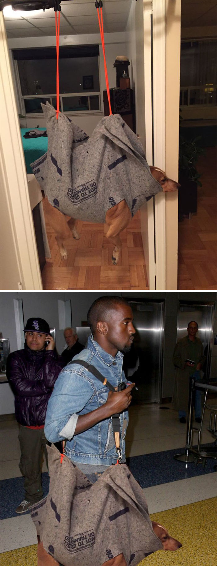 This Dog In A Homemade Nail Cutting Rig