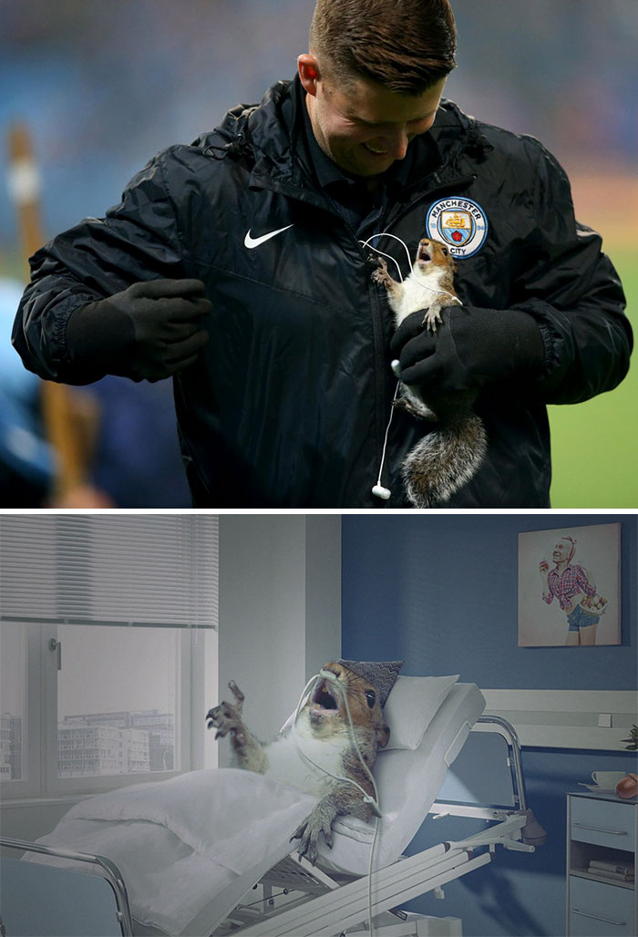 This Squirrel Getting Ejected From The Football Pitch