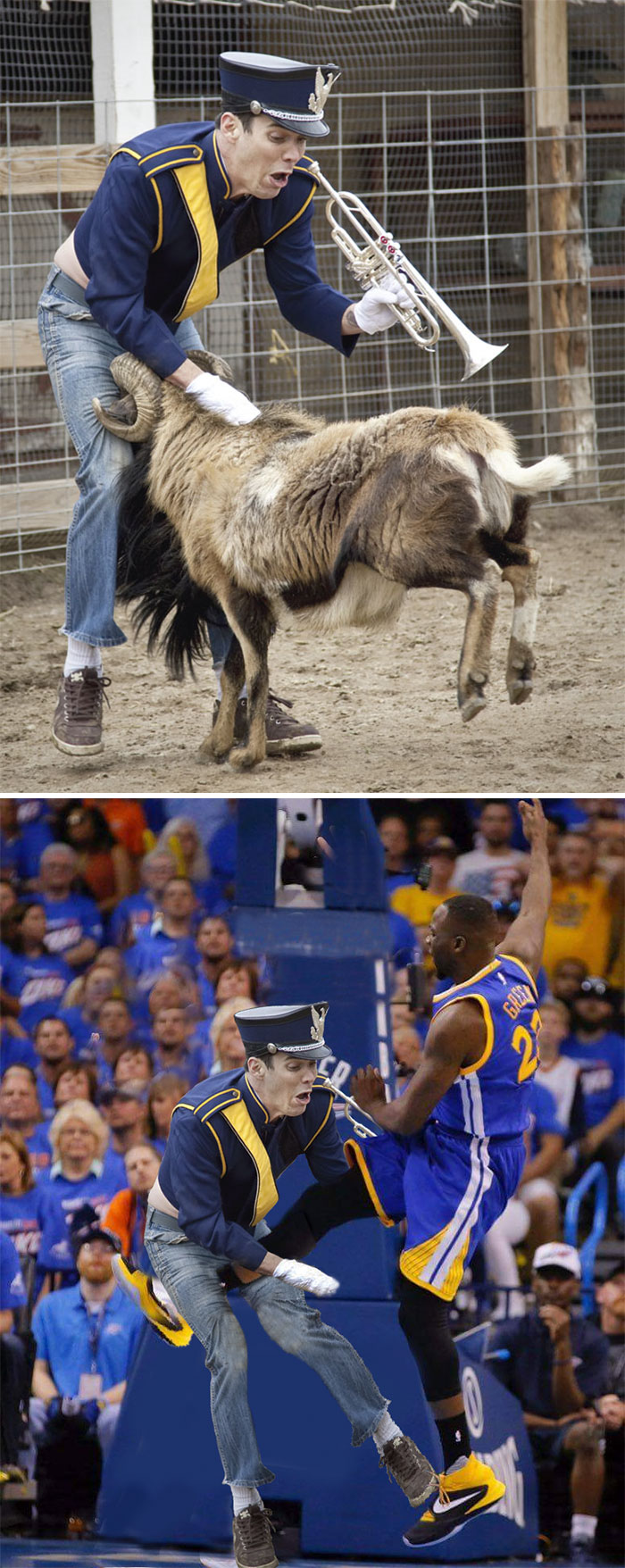 Steve-O Was Attacked By Goat