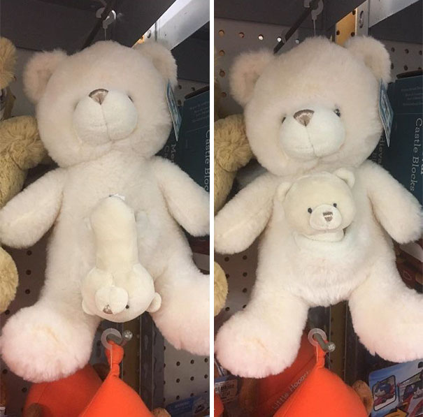 His Baby Bear Doesn't Have A Body