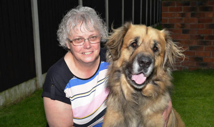 Shelagh Shaw, 55, Was Saved By Hero Dog 'Scooby' After Suffering A Seizure At Night