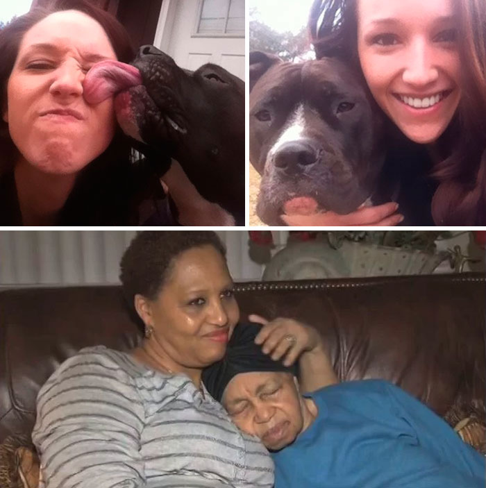 Pit Bull, Creature, Found Missing 89-Year-Old In Piscataway Woods