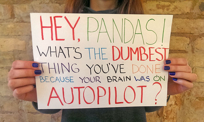 Hey, Pandas! What’s The Dumbest Thing You’ve Done Because Your Brain Was On Autopilot?