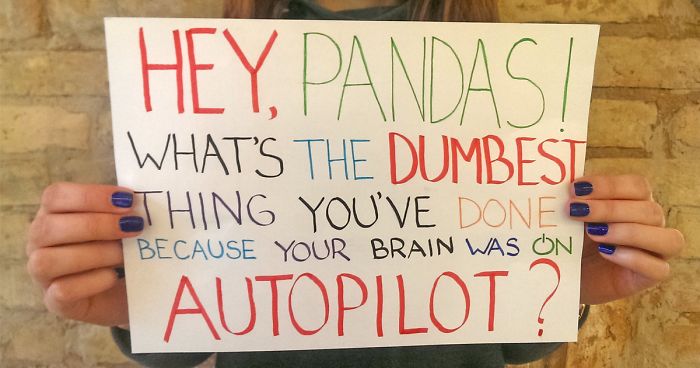 Hey, Pandas! What’s The Dumbest Thing You’ve Done Because Your Brain Was On Autopilot?