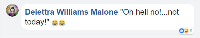 Internet Can't Stop Laughing At These Horses' Reaction After Their Owner Let Them Out In The Snow