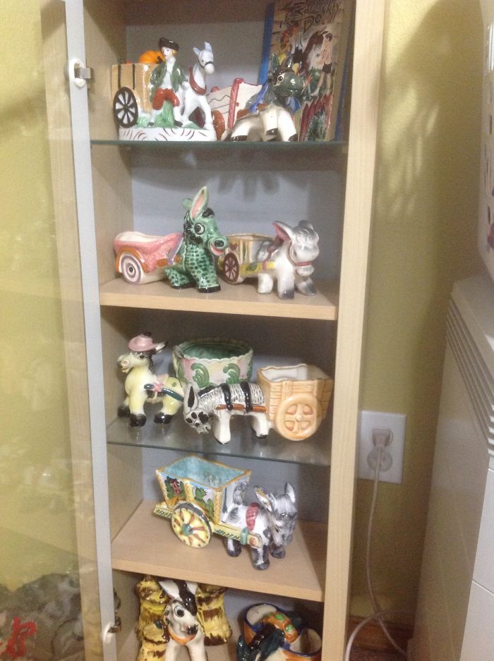 Donkey Cart Planters Are My Passion! This Is Just Part Of My Collection.