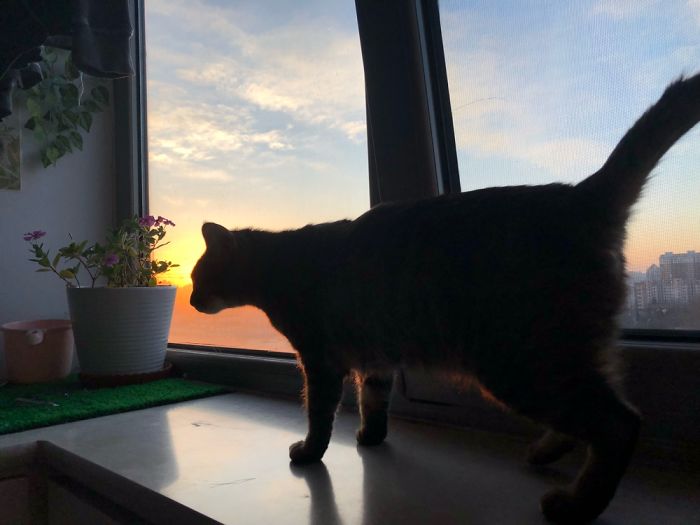 Why I Can Get Up Early Everyday? Someone Cooks For Me Of Course.