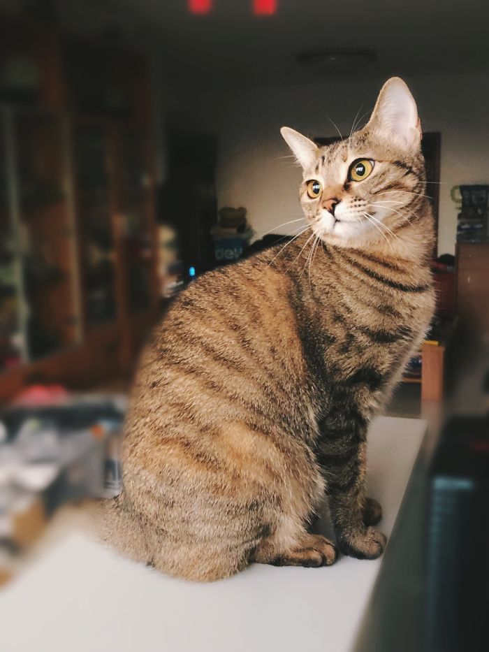 Why I Can Get Up Early Everyday? Someone Cooks For Me Of Course.