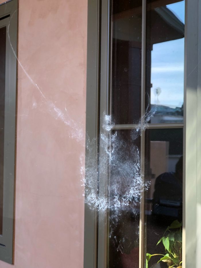 I Had A Visitor As Well But I Didn’t Get The Door In Time. He’s Not Been Back Since...