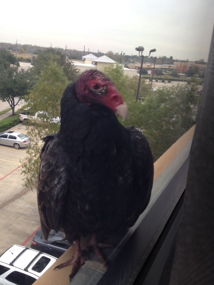 Dental Office On The Third Floor.