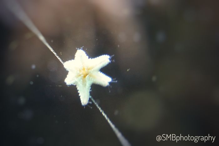 Anything And Everything Under The Sea