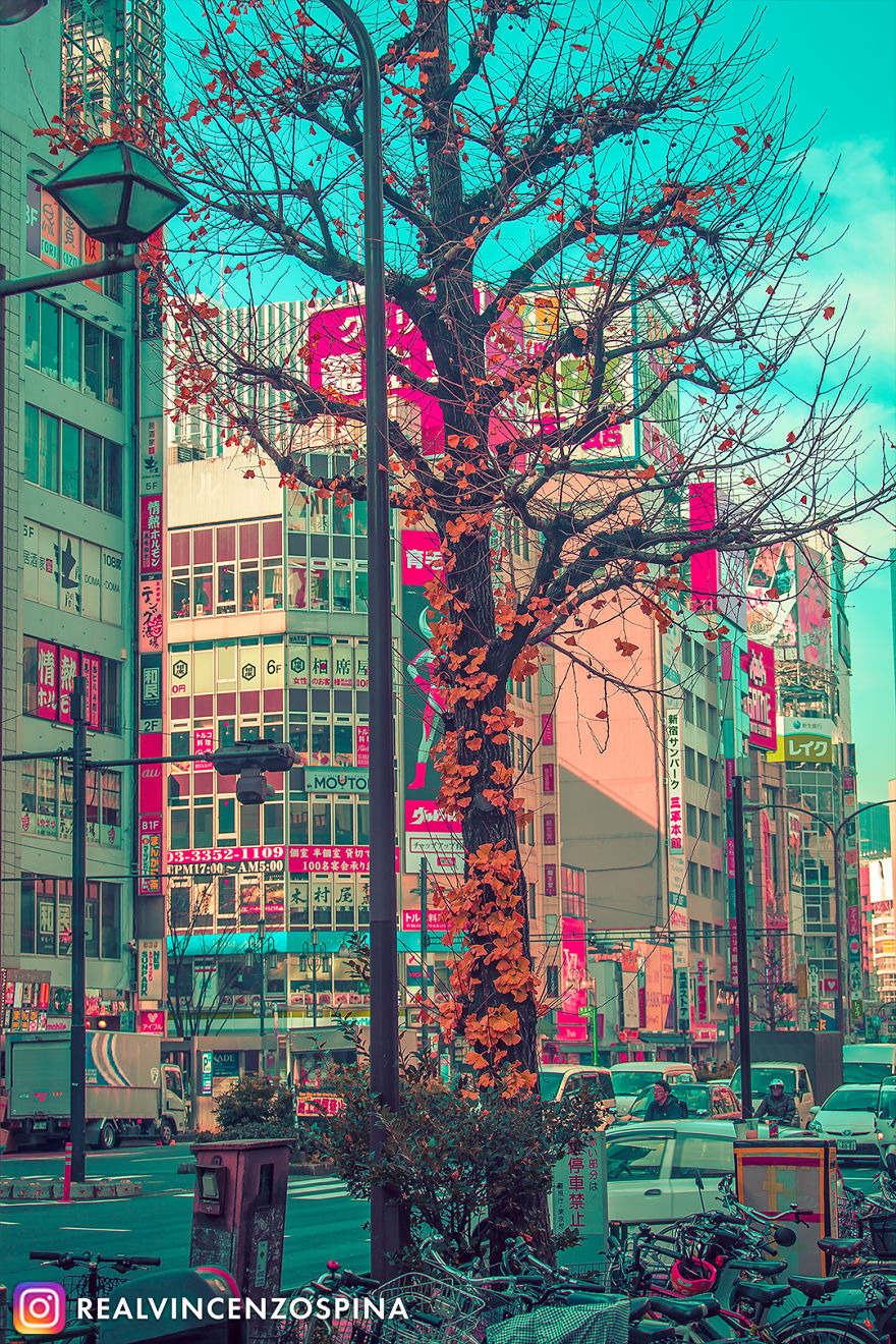 I Photographed A Manga Tokyo I Photographed A Manga Tokyo