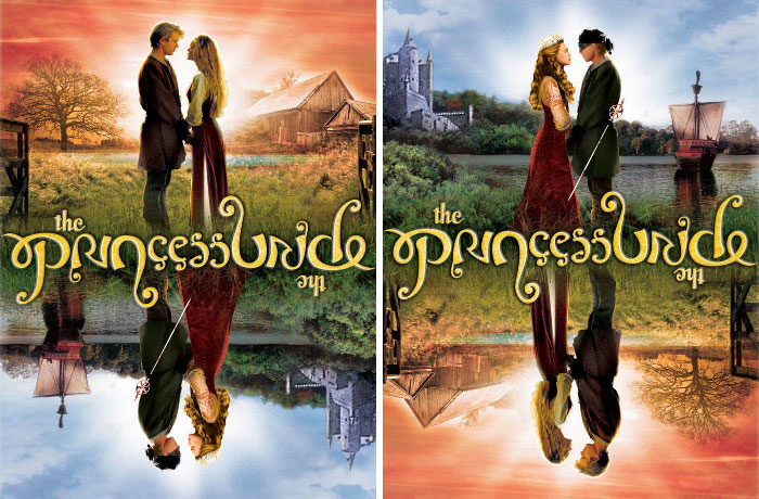 The Cover Of The Princess Bride 20th Anniversary Edition Dvd Can Be Read Upside Down As Well As Right Side Up