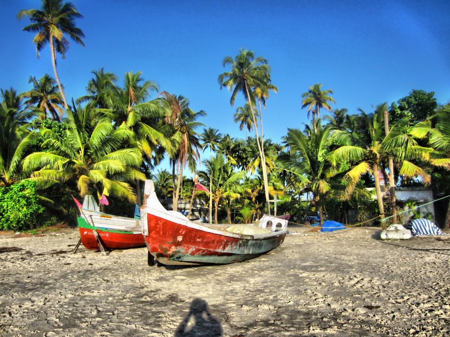 I Spent Years Clicking Pictures On A 5 Mp Camera And Here Are The Best Of Them.