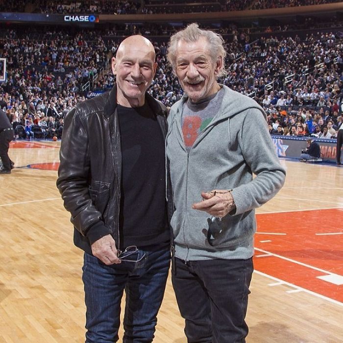 Patrick Stewart And Ian Mckellen