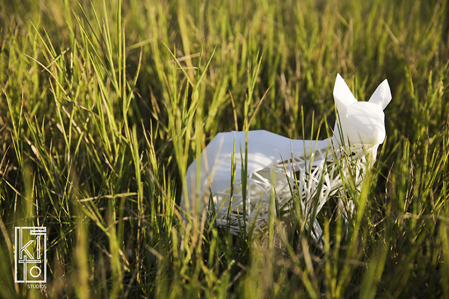 I Made Roo Light With 3d Printers