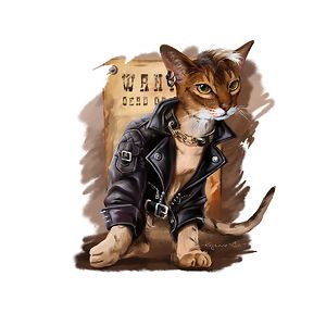 eva-teodorescu-2017 avatar