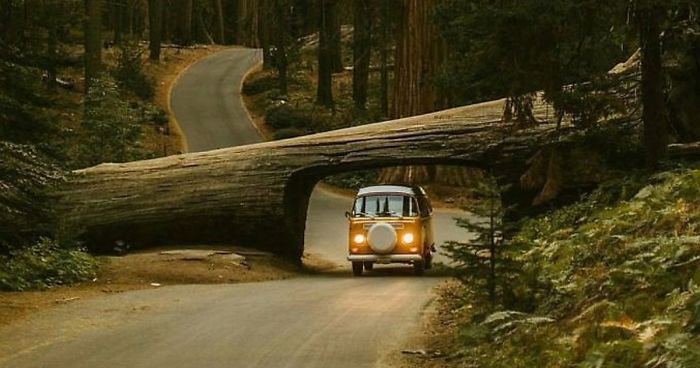 308 Pics From ‘Project Van Life’ Instagram That Will Make You Wanna Quit Your Job And Travel The World
