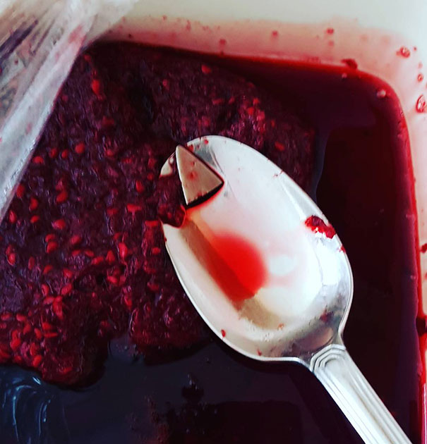 When You Find A Knife Point In Your Frozen Berries From The Farm And Think Your Father Is Trying To Kill You - Then Remember You Snapped It Off Breaking It Up Yesterday