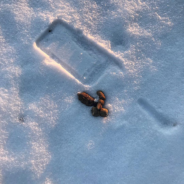 When You Drop Your Phone And It Almost Hits A Land Mine