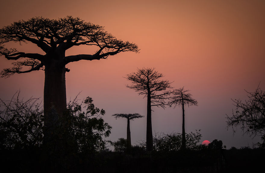 30+ Photos Of Unbelievable Madagascar That Will Make You Pack Your Backpack And Hit The Road 30+ Photos Of Unbelievable Madagascar That Will Make You Pack Your Backpack And Hit The Road