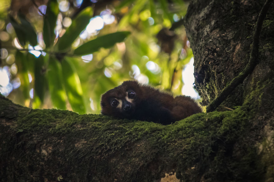 30+ Photos Of Unbelievable Madagascar That Will Make You Pack Your Backpack And Hit The Road 30+ Photos Of Unbelievable Madagascar That Will Make You Pack Your Backpack And Hit The Road