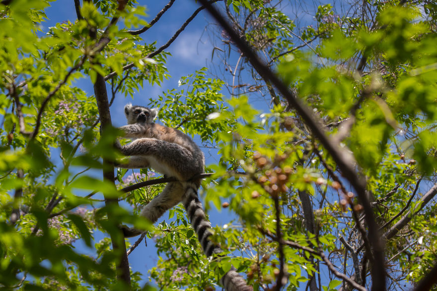 30+ Photos Of Unbelievable Madagascar That Will Make You Pack Your Backpack And Hit The Road 30+ Photos Of Unbelievable Madagascar That Will Make You Pack Your Backpack And Hit The Road