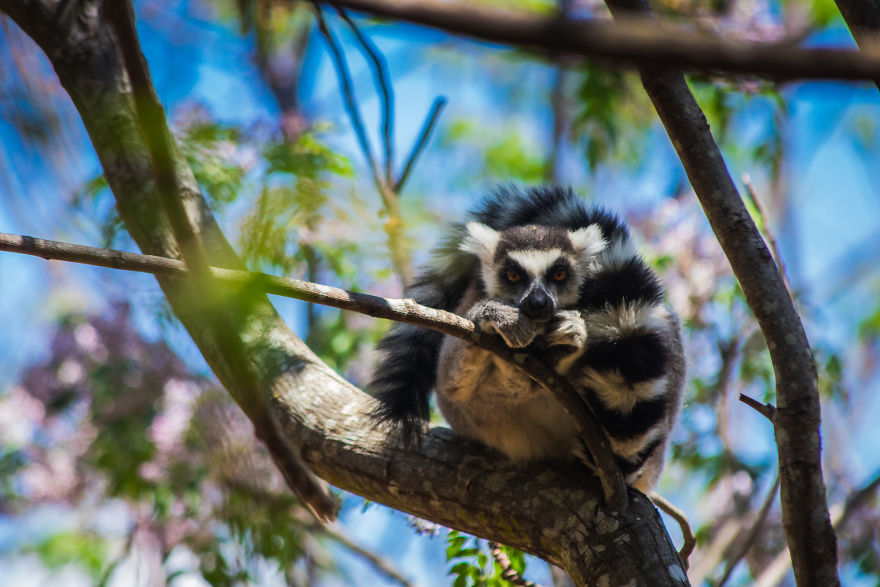 30+ Photos Of Unbelievable Madagascar That Will Make You Pack Your Backpack And Hit The Road 30+ Photos Of Unbelievable Madagascar That Will Make You Pack Your Backpack And Hit The Road