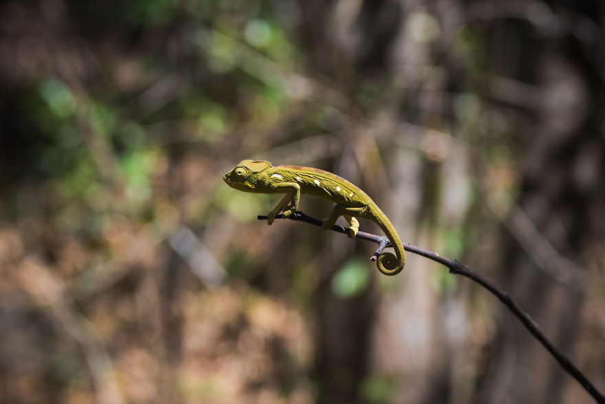 30+ Photos Of Unbelievable Madagascar That Will Make You Pack Your Backpack And Hit The Road 30+ Photos Of Unbelievable Madagascar That Will Make You Pack Your Backpack And Hit The Road