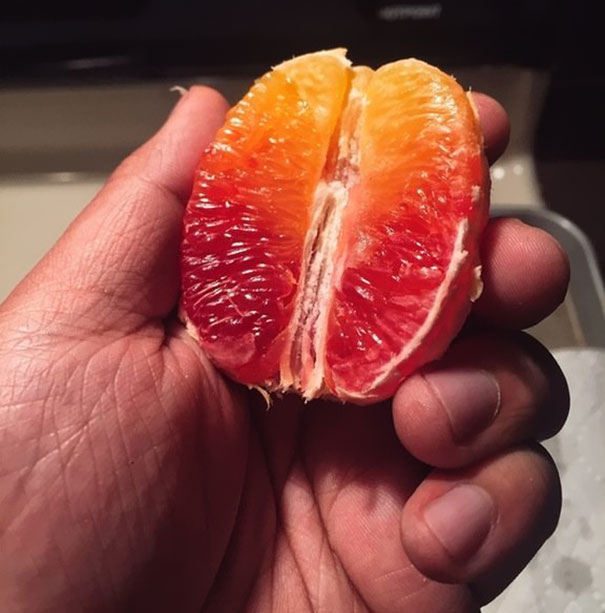 The Color Gradient On This Orange