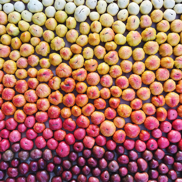 Heirloom Tomatoes Gradient