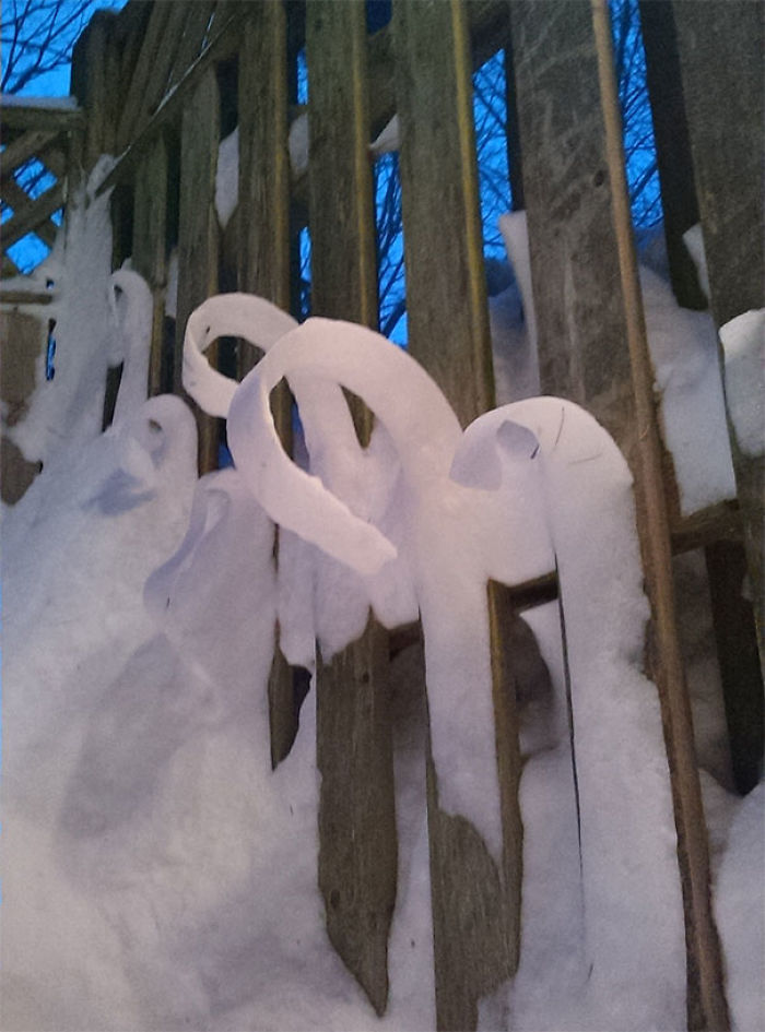 The Snow On My Fence This Morning