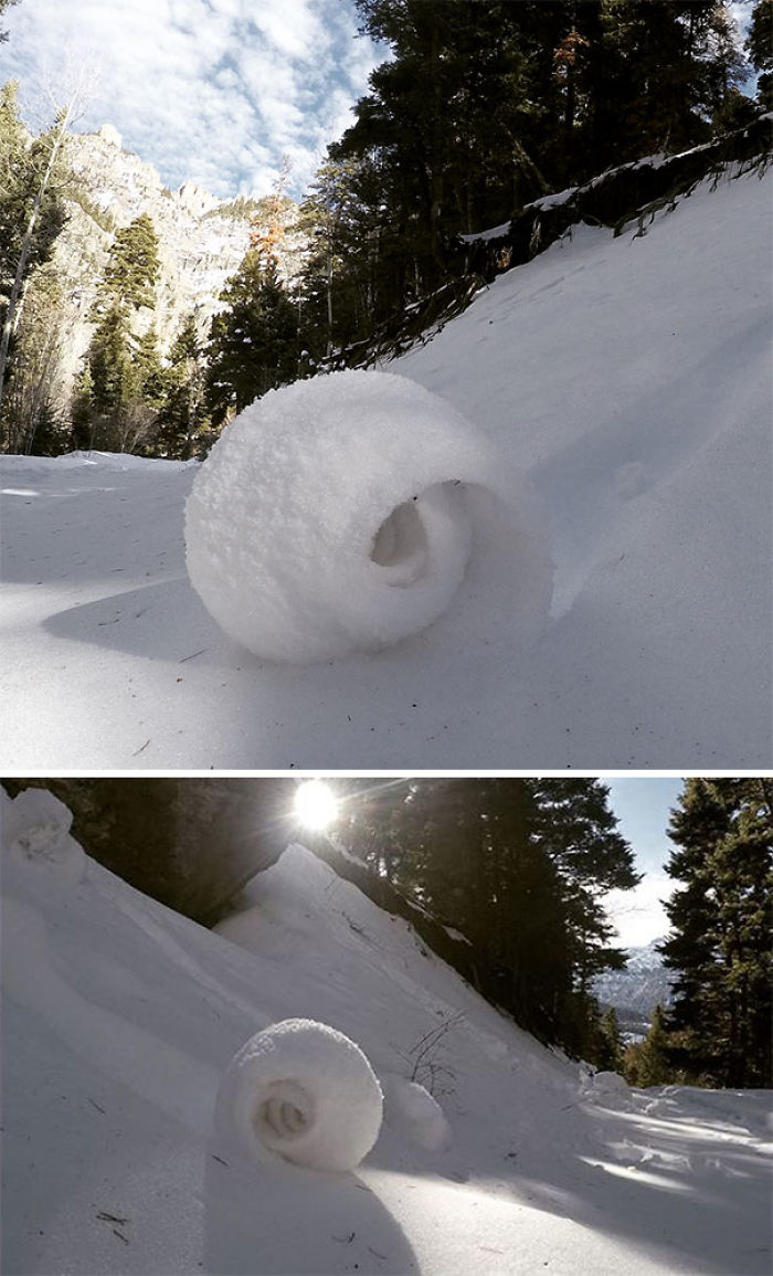 A Little Sampling Of The Local “Sno-Nuts”