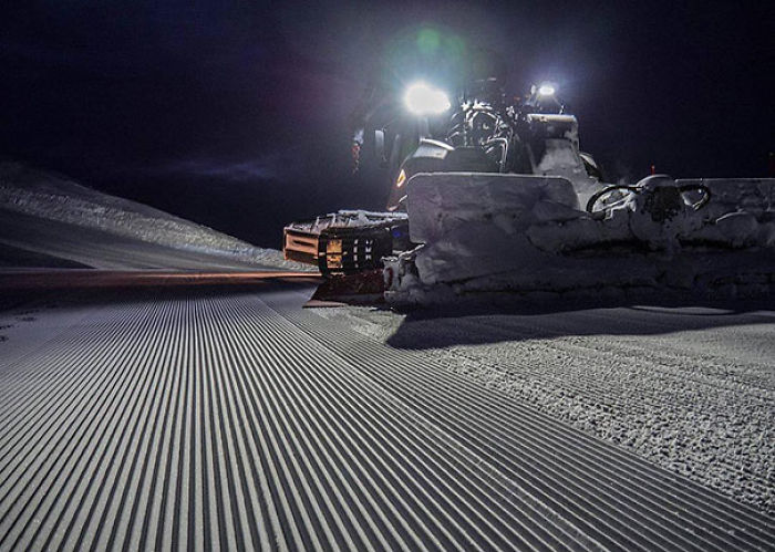 In The Early Morning