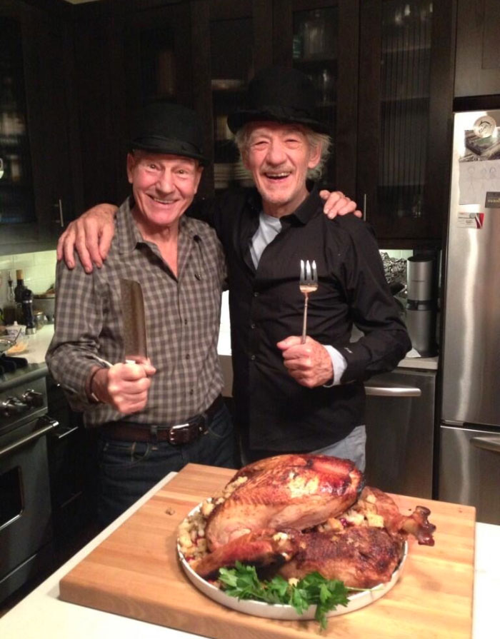 Patrick Stewart And Ian Mckellen