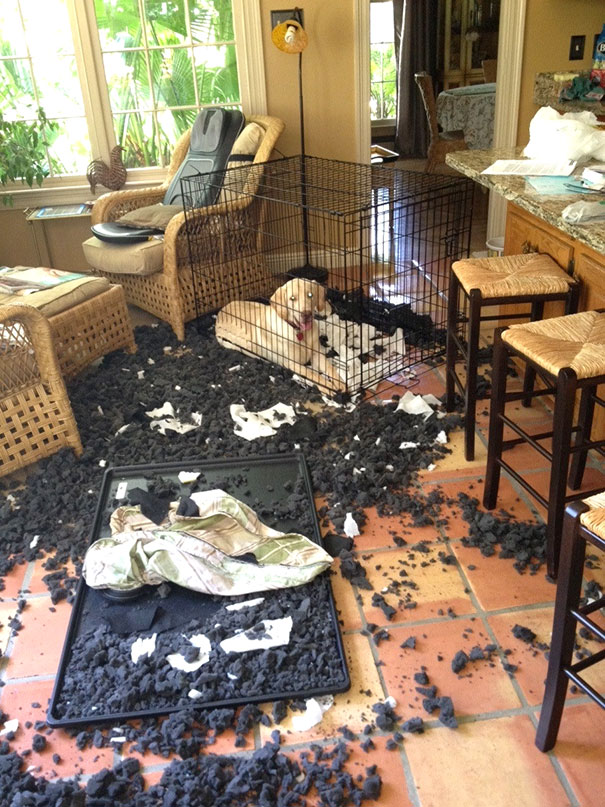 Just Came Back From Lunch To This