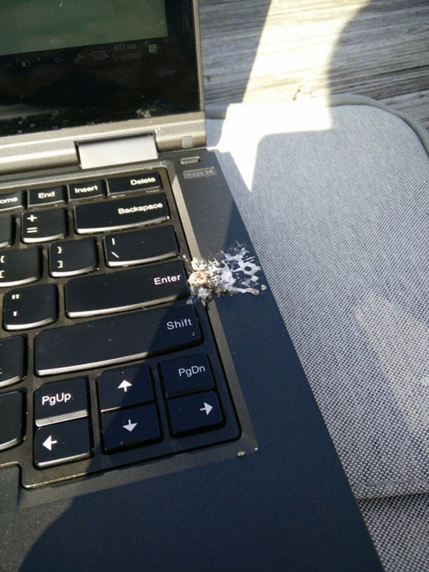 Everyone Begged To Work Outside For English